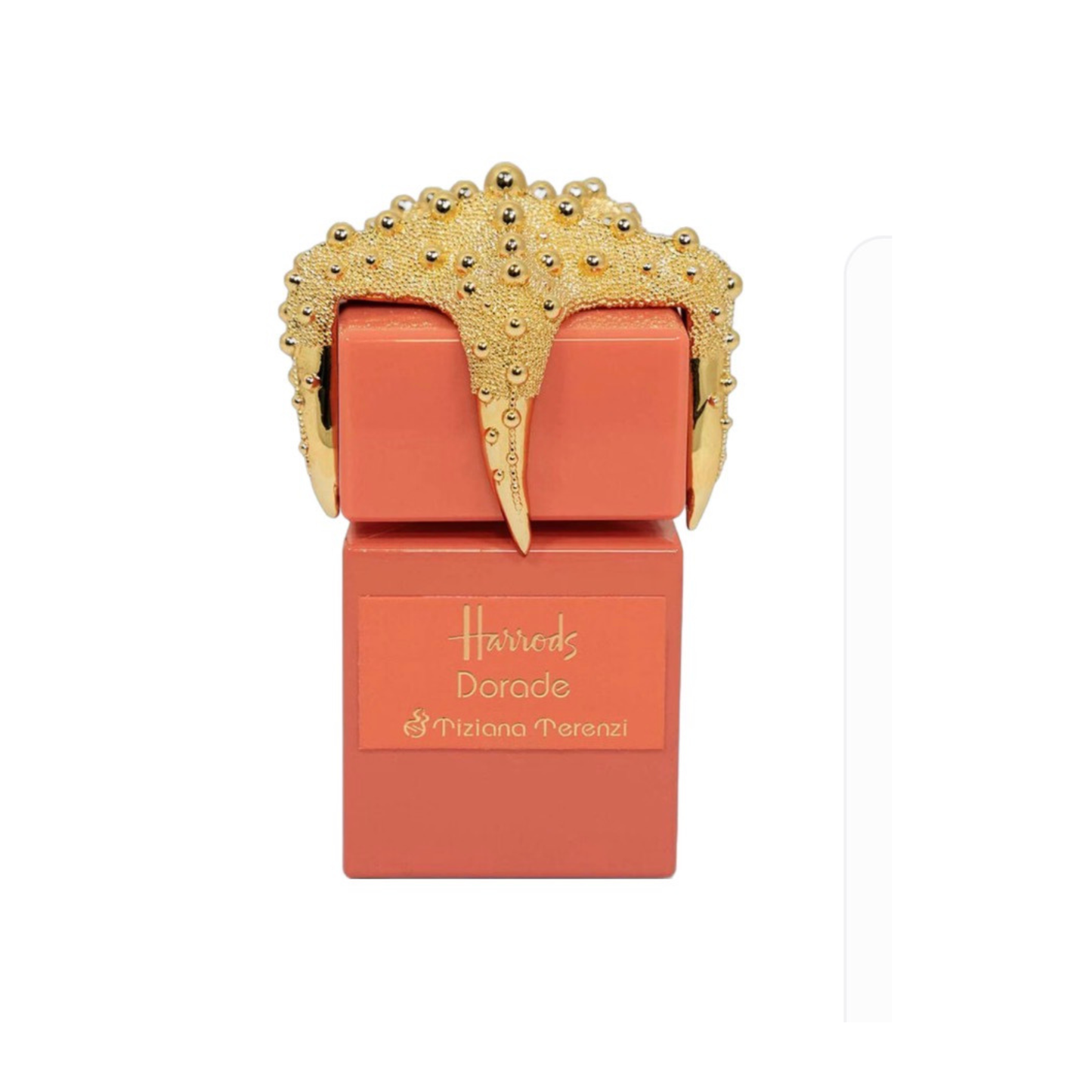 Dorade-Fragrance Decant