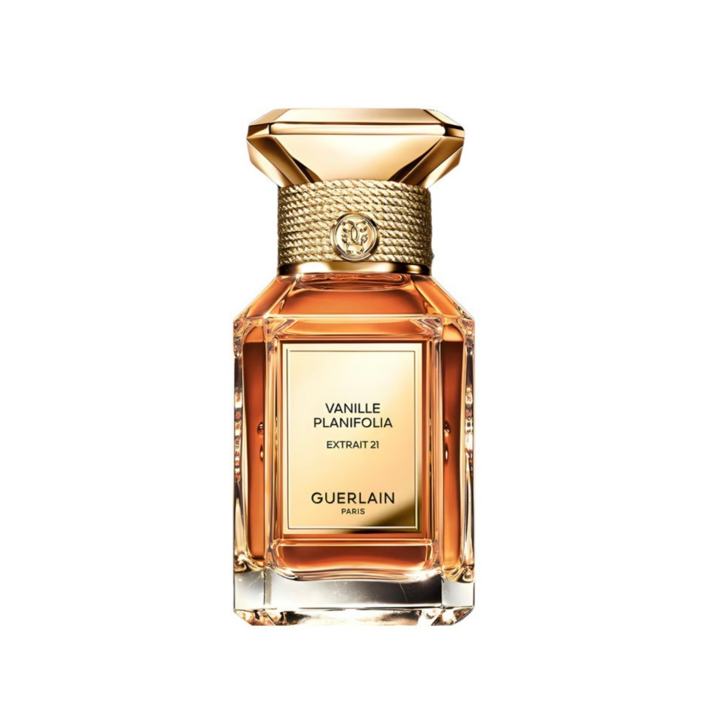Vanille Planfolia extrait 21-Fragrance Decant