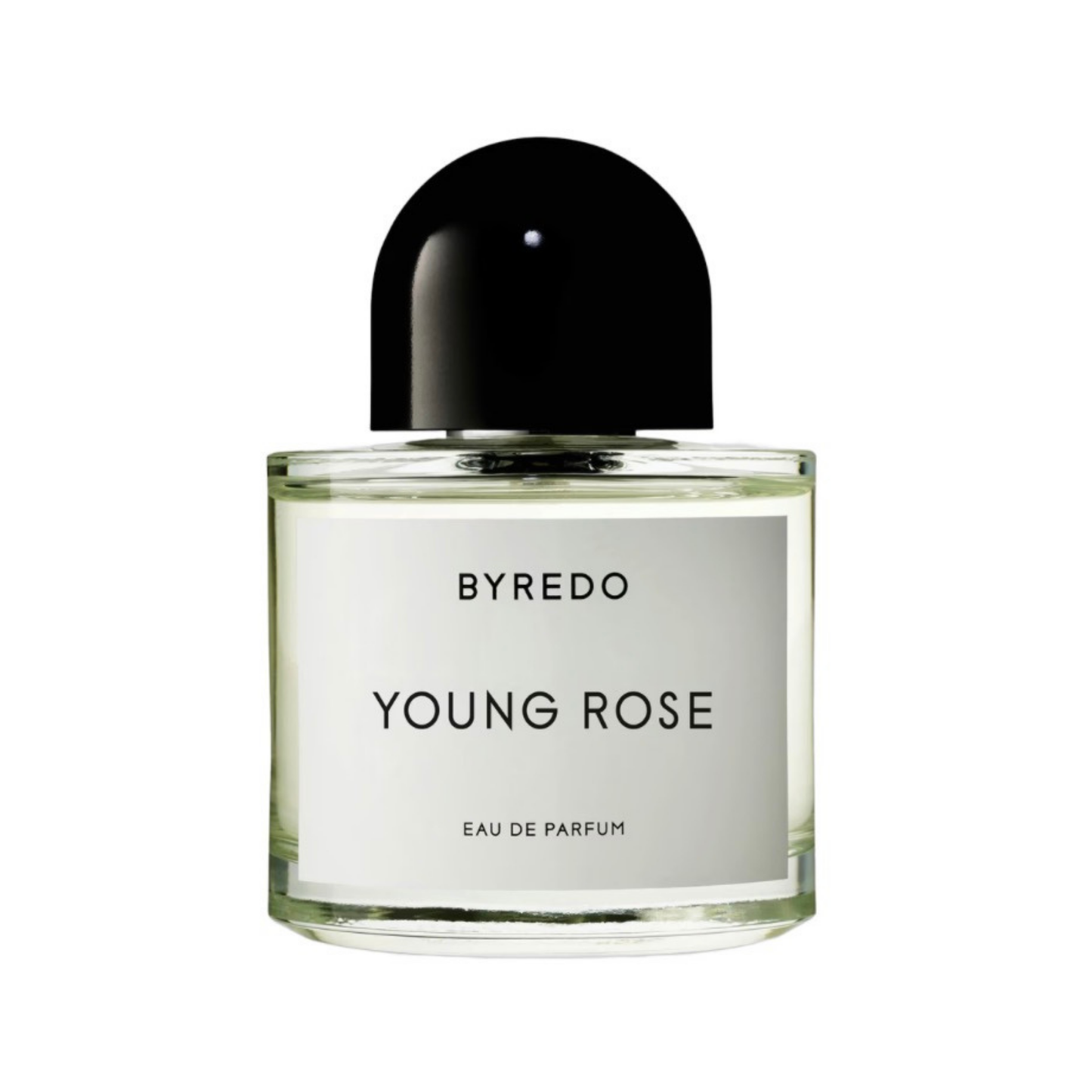 Young Rose-fragrance decant