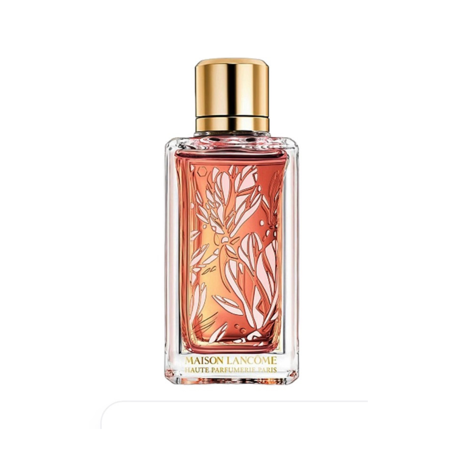 Magnolia Rosae-Fragrance Decant