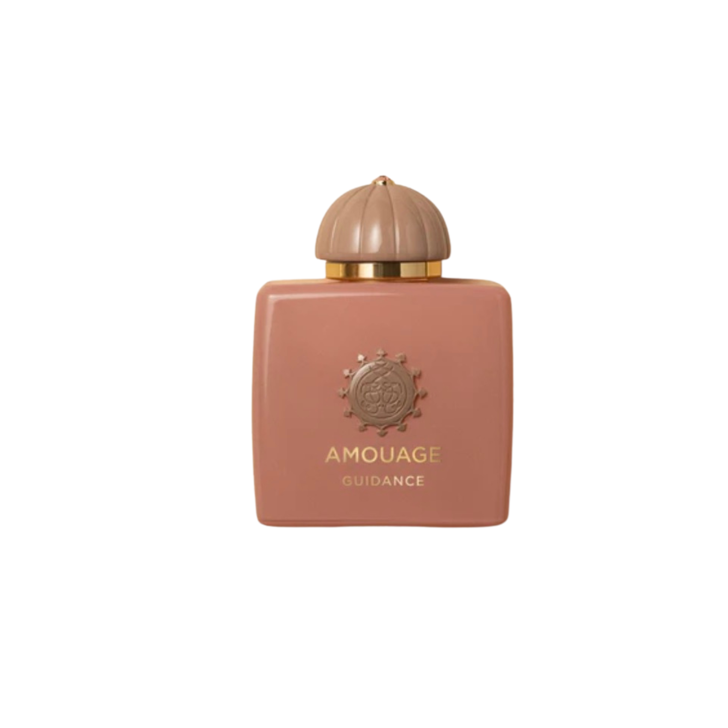 Guidance-Fragrance Decant