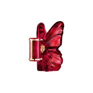 La Bomba Intensa- Fragrance Decant