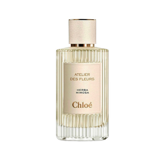 Herba Mimosa-fragrance decant